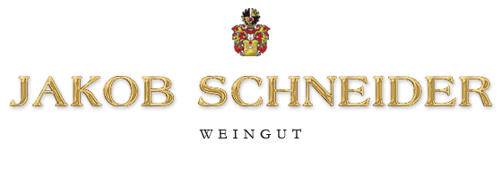 schneider logo3
